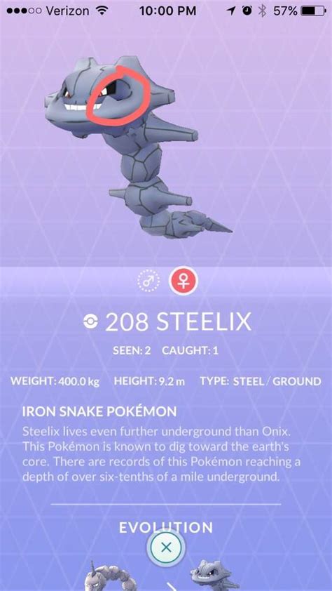 pokemmo steelix|steelix male and female.